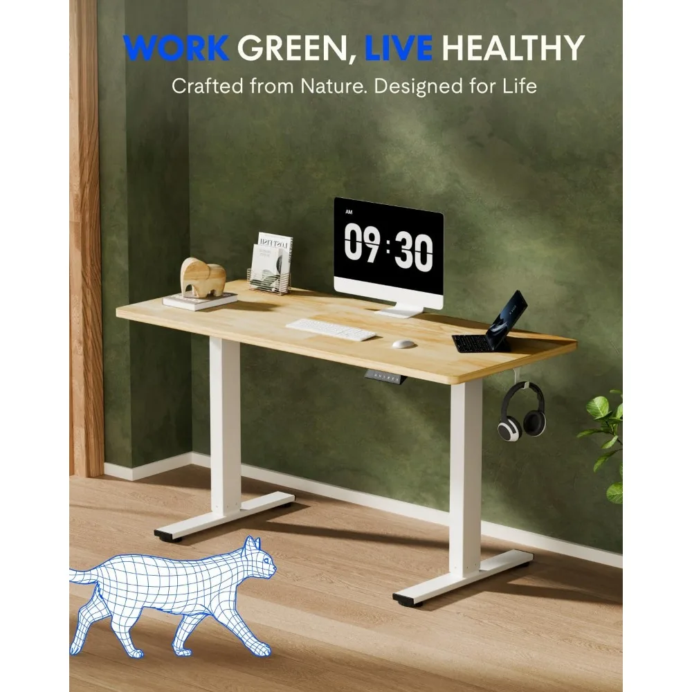 FLEXISPOT 55인치 x 24인치 원목 스탠딩 데 - Desk Setup Natural 리뷰 및 가격
